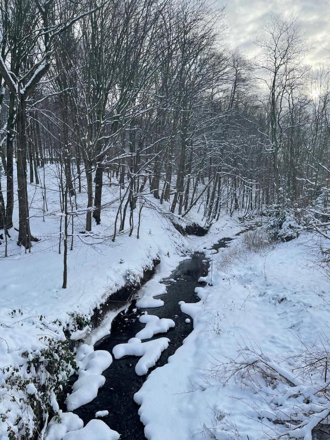 Domek Z Widokiem Na Blizniaki Chocznia Extérieur photo